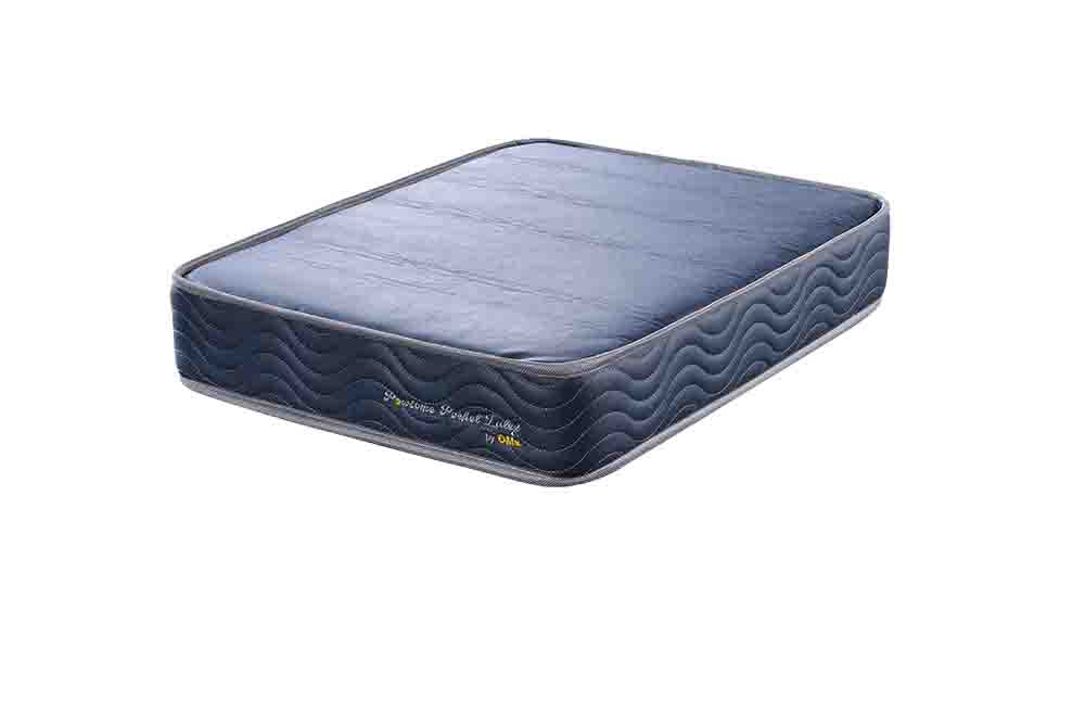 Pawsome Pocket Latex Pet Mattress Small